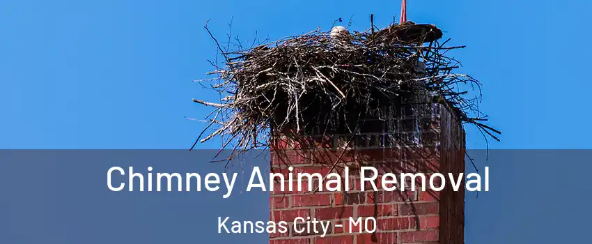 Chimney Animal Removal Kansas City - MO