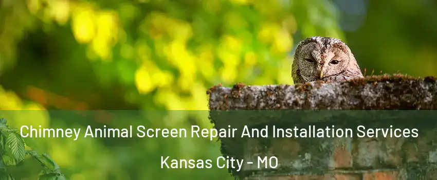  Chimney Animal Screen Repair And Installation Services Kansas City - MO