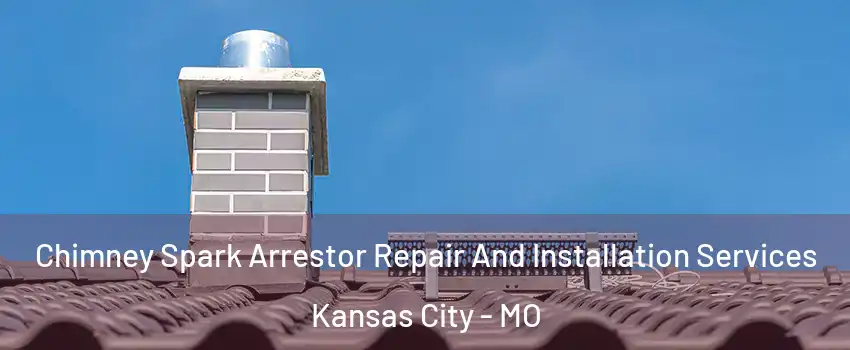  Chimney Spark Arrestor Repair And Installation Services Kansas City - MO