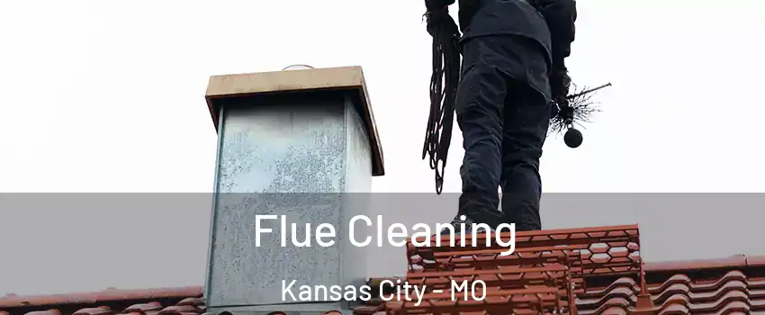 Flue Cleaning Kansas City - MO